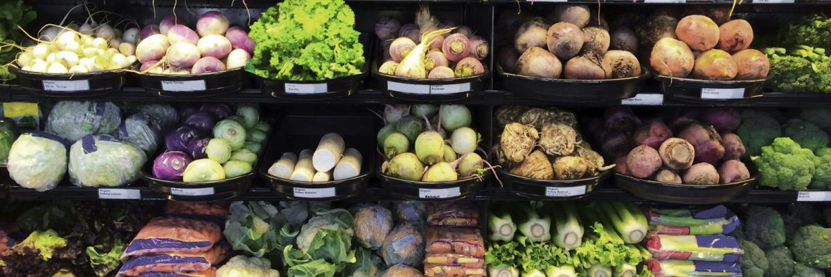 Compliance Standards